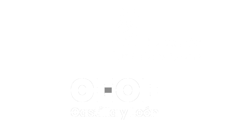 Junsta CyL & Hiberus